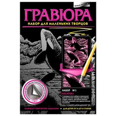 Гравюра Фантазёр Касатки N1