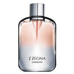 Ermenegildo Zegna Z Zegna