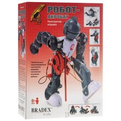 Электромеханический конструктор Bradex
