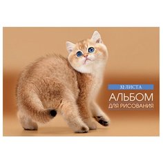 Альбом для рисования Проф-Пресс