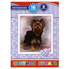 Цветная бумага Action! A4 16