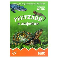 Набор карточек Мозаика-Синтез