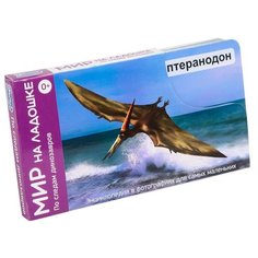 Набор карточек Умница Мир на