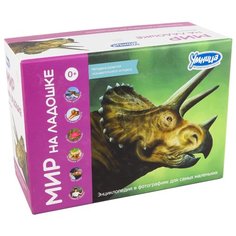 Набор карточек Умница Мир на