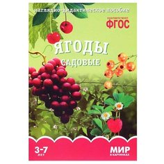 Набор карточек Мозаика-Синтез