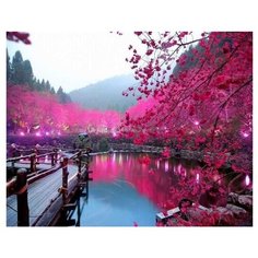 Paintboy Картина по номерам