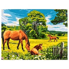 Цветной Картина по номерам