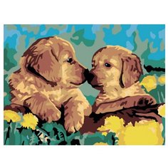 Color Kit Картина по номерам