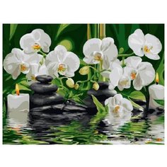 Color Kit Картина по номерам