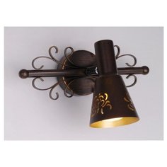 Спот Citilux Дункан CL529511