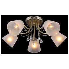 Natali Kovaltseva Majestic