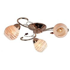 ESCADA 009 3pl