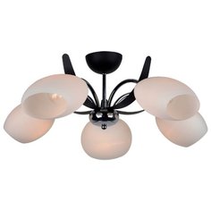 ESCADA 294 5PL