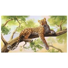 Рыжий кот Картина по номерам