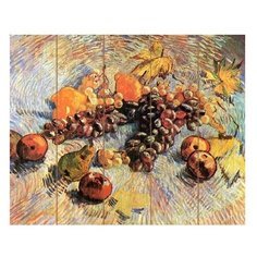 Molly Картина по номерам