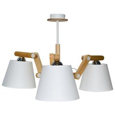 Люстра Дубравия 201-77-23-C