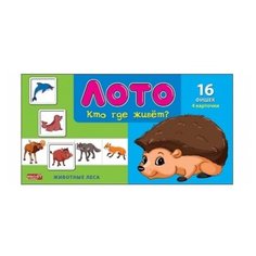 Настольная игра Рыжий кот Кто