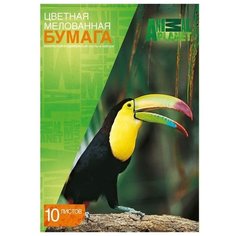 Цветная бумага Animal planet Action!