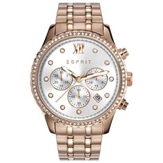 Наручные часы ESPRIT ES108732002