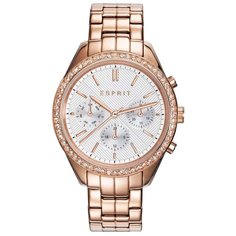 Наручные часы ESPRIT ES109232003