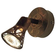 Спот Citilux Винон CL519514