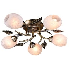 ESCADA 038 5pl