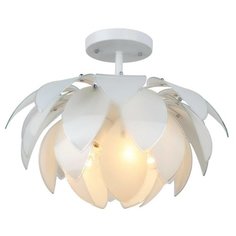 ESCADA Mistra 333 5PL