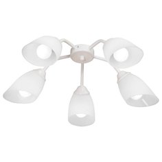 Люстра Vitaluce V3195 5PL