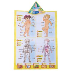 Электронный плакат Kribly Boo