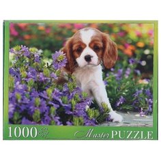 Пазл Рыжий кот Puzzolini Щенок