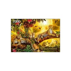 Пазл Рыжий кот Puzzolini Ян