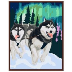 Color Kit Картина по номерам