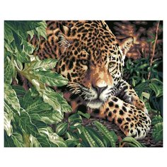 Paintboy Картина по номерам