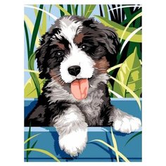 Paintboy Картина по номерам