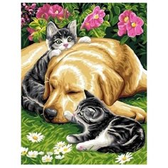 Paintboy Картина по номерам