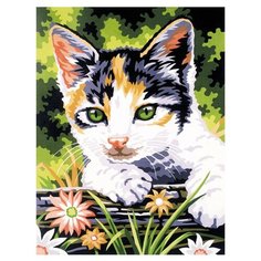 Paintboy Картина по номерам