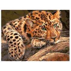 Paintboy Картина по номерам