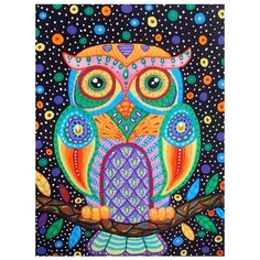 Paintboy Картина по номерам