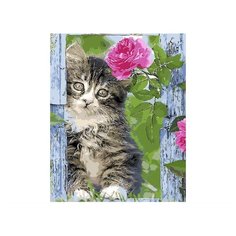 Paintboy Картина по номерам