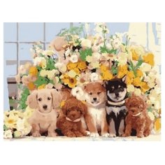 Рыжий кот Картина по номерам