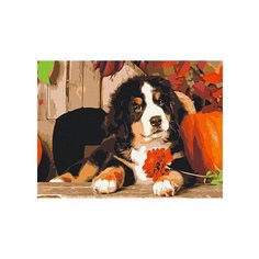 Рыжий кот Картина по номерам