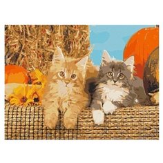 Рыжий кот Картина по номерам