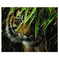 Paintboy Картина по номерам