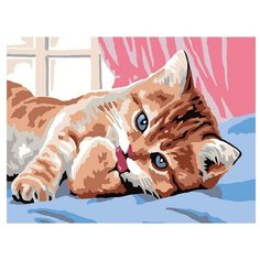 Paintboy Картина по номерам