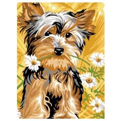 Paintboy Картина по номерам