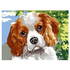 Paintboy Картина по номерам