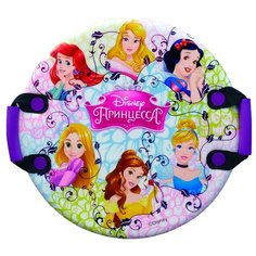 Ледянка 1 TOY Принцессы Т58175