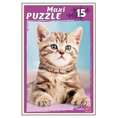 Пазл Рыжий кот Ласковый котенок