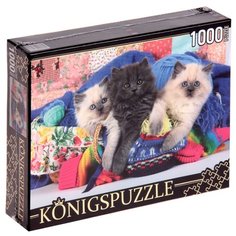 Пазл Рыжий кот Konigspuzzle Три