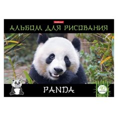 Альбом для рисования Erich Krause